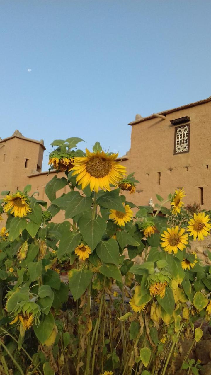 Kasbah Izoran Hotel มิเดลท์ ภายนอก รูปภาพ