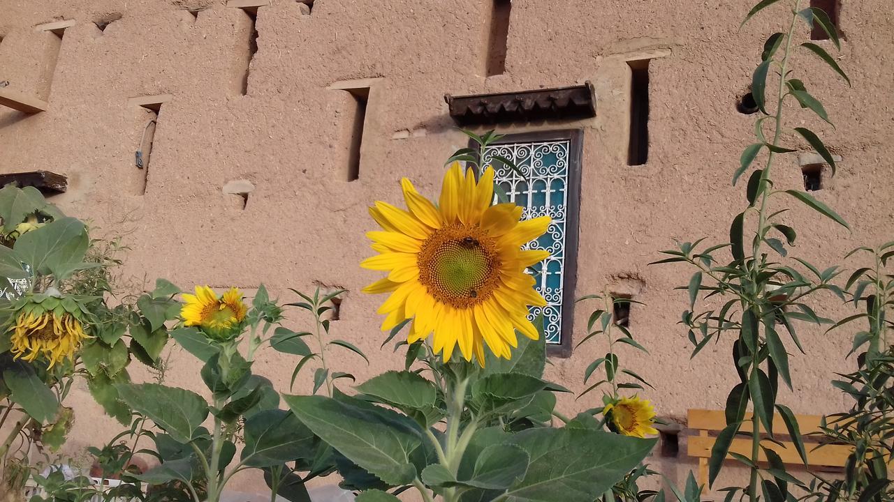 Kasbah Izoran Hotel มิเดลท์ ภายนอก รูปภาพ